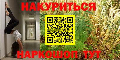 тгк Краснодар