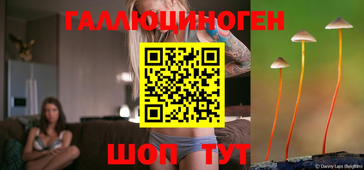 купить закладку  Псилоцибиновые грибы Cubensis  Кандалакша  Вход с VPN  Псилоцибиновые грибы прущие грибы 